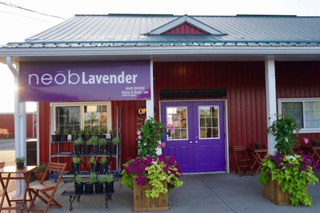 neob lavender shop